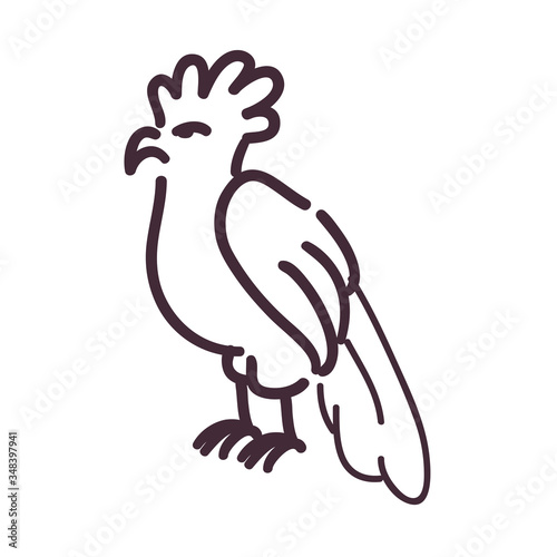 cackatoo bird cartoon line style icon vector design photo