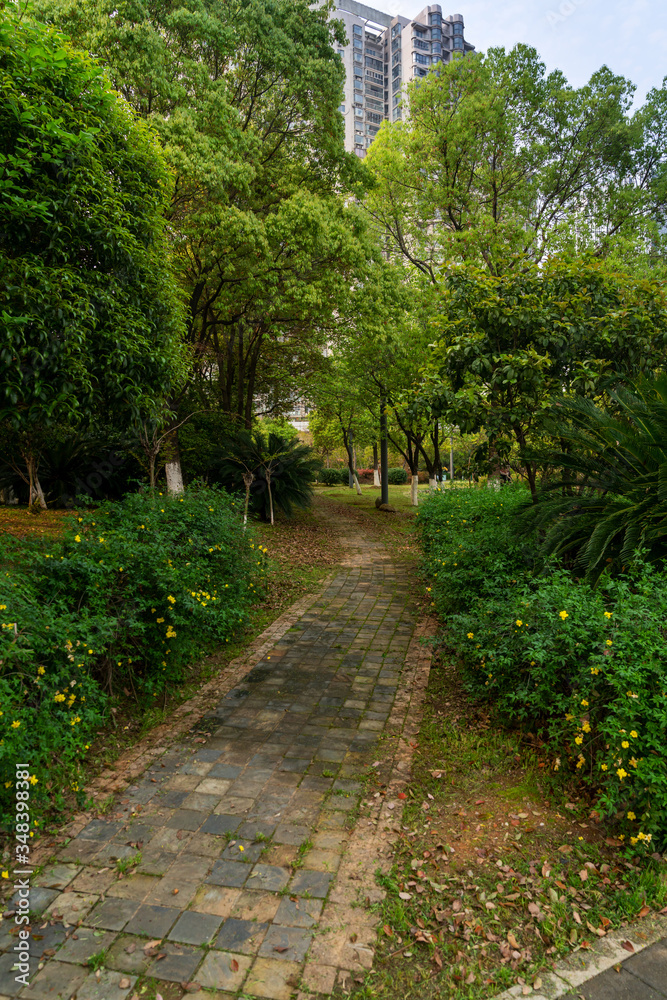 Walkways, concrete slabs lined up in lawns, beautiful designs, garden decoration ideas