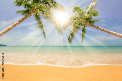Fototapeta Naklejka Na Ścianę i Meble -  Summer background with  of tropical  beach with rays of sun light and leaf palm. summer vacation concept.