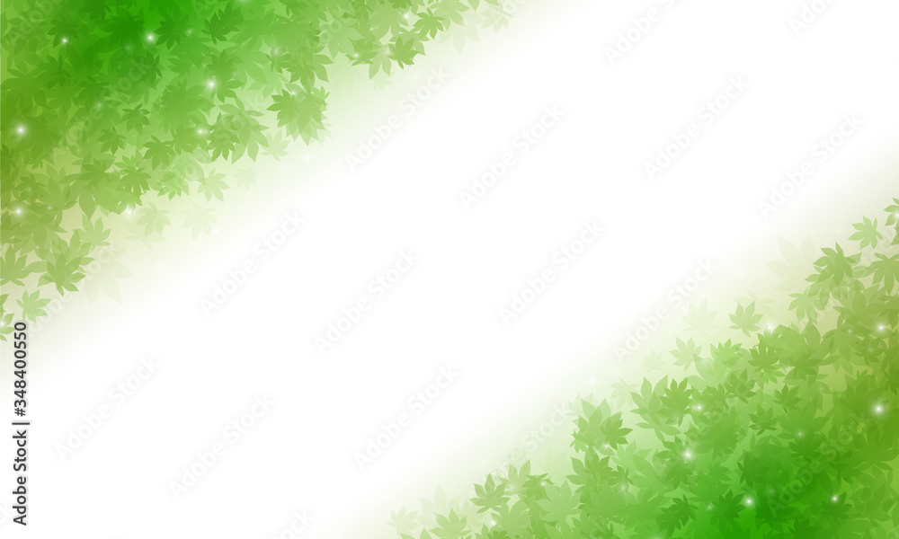 もみじ背景 もみじ背景