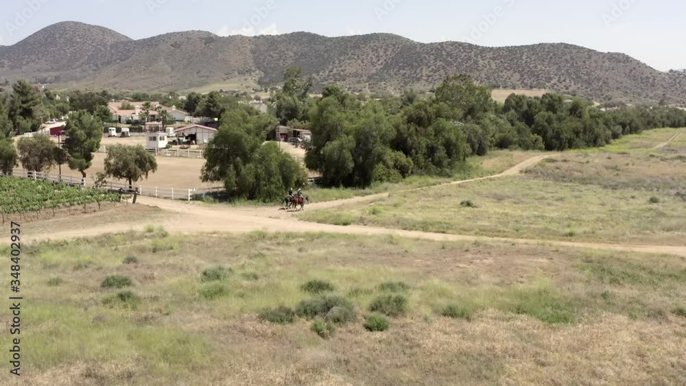 Aerial view, circling around two cowboys riding their horse in vineyard, mountain in background Aerial view, circling around two cowboys riding their horse in vineyard, mountain in background