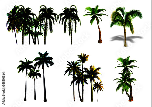 Vector illustration of green palms in different layers on white background