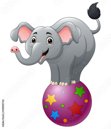 Cartoon circus elephant balancing on ball