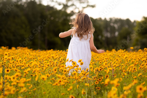 Little toddler girl in a white dress walking and picking flowers in a black eye Susan flower field.  Child in a flower meadow at sunset with yellow flowers. 