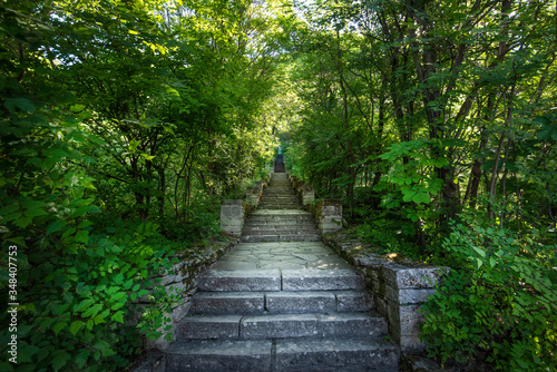 Old path way between trees in the forest near Madara  Bulgaria. Beautiful spring landscape