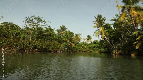 Lush, Rainforest Indian River on Tropical Island of Dominica, Handheld photo