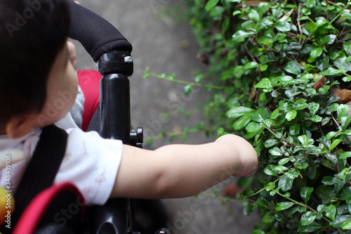 Baby on stroller go for a walk looking at the tree in the garden