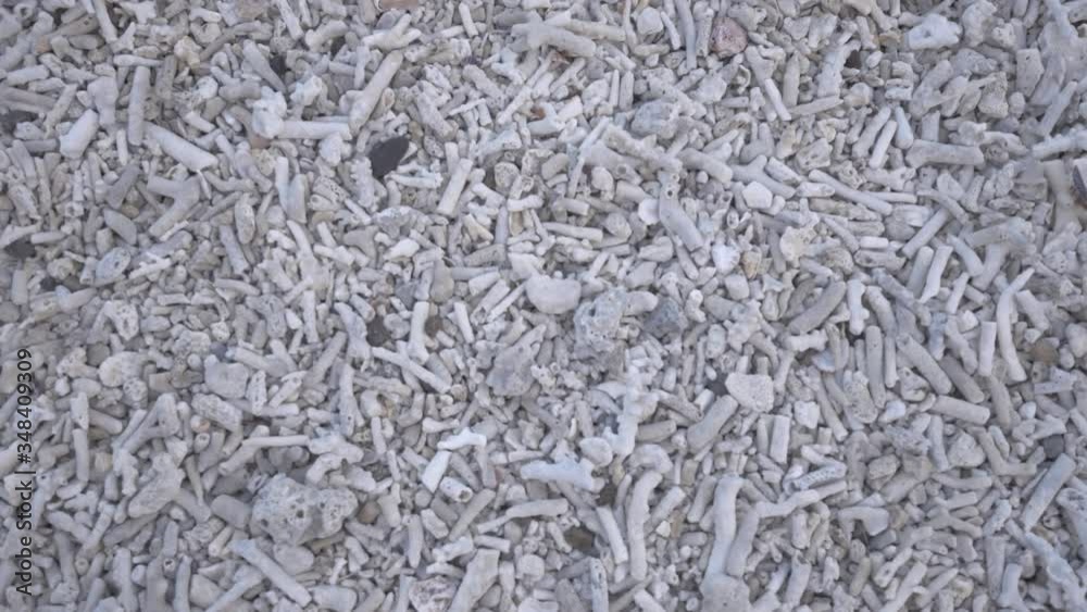 Different shapes and sizes of coral sand from directly above Different shapes and sizes of coral sand from directly above
