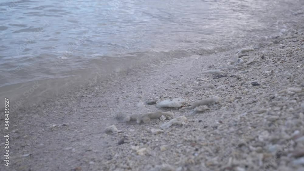 Small waves gently washing Coral white sand Small waves gently washing Coral white sand