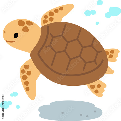 水中を泳ぐウミガメ