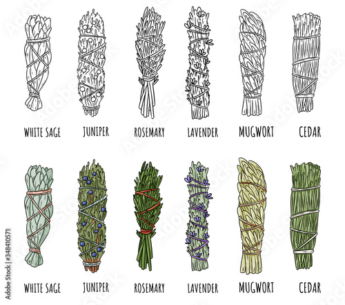 Set of sage and herbs sage smudge sticks bundles. Vector stock hand-drawn set of isolated doodles on white background. Collection of herb bundles. Sage, rosemary, lavender, cedar, juniper, mugwort