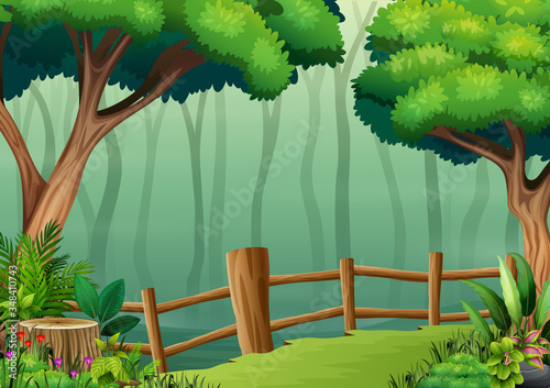 The wooden fence on the middle of dark forest
