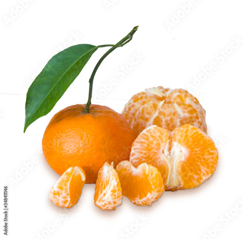 Tangerine on a twig and sections