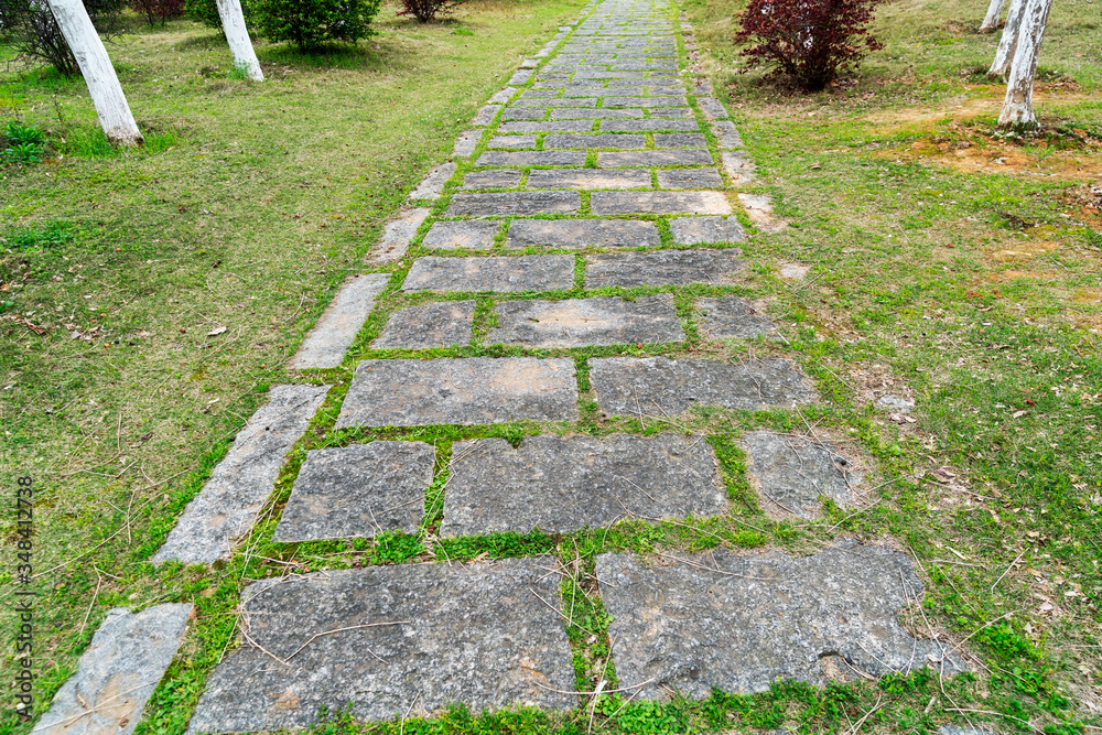 Walkways, concrete slabs lined up in lawns, beautiful designs, garden decoration ideas