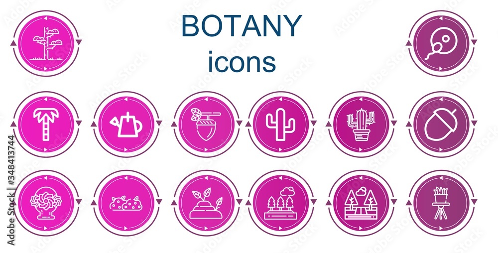 Editable 14 botany icons for web and mobile Editable 14 botany icons for web and mobile