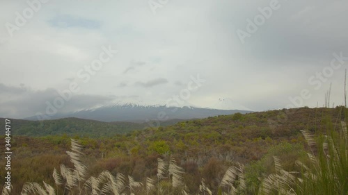 Views of Mount Ngauruhoe and Mount Tongariro with grass in the forground - Cloudy/Windy Day// Static Shot photo