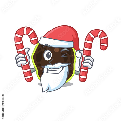 Friendly firmicutes dressed in Santa Cartoon character with Christmas candies