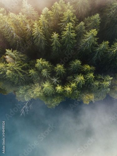 Aerial view of evergreen pine trees and misty lake from above. Top down view captured with drone. Transylvania Romania.