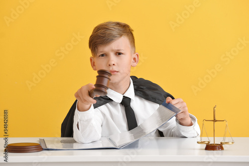 Portrait of little judge si...