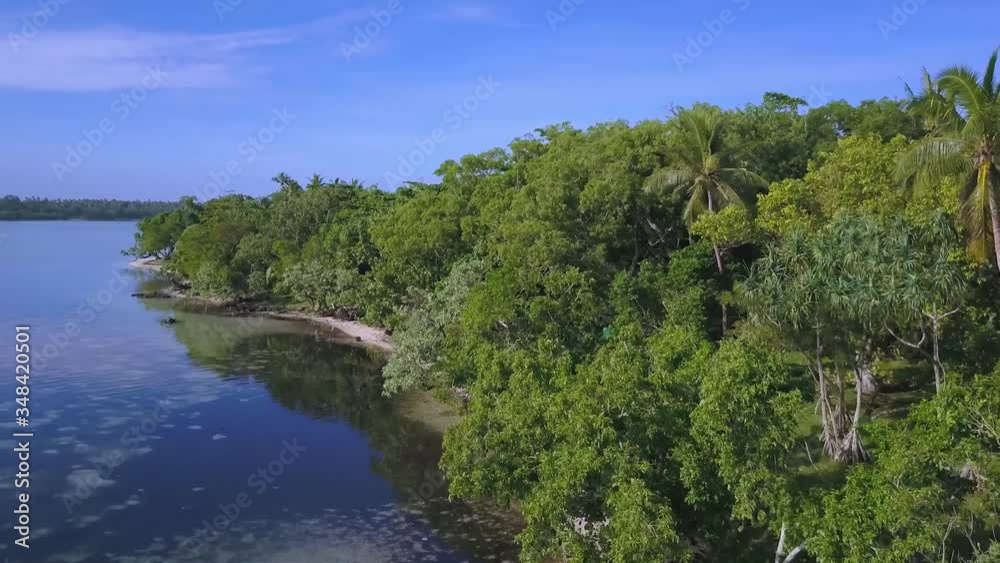 Canopy of rainforest on remote island surrounded by reef and lagoon, AERIAL