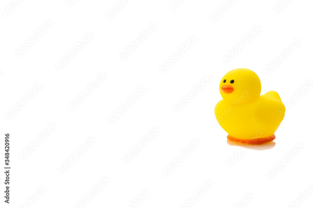Yellow rubber duck, baby bath toy on white background. Education concept Yellow rubber duck, baby bath toy on white background. Education concept