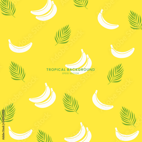 summer setting with tropical leaves