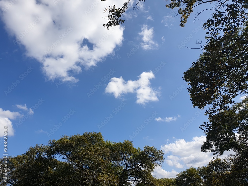 Obraz premium clouds and trees