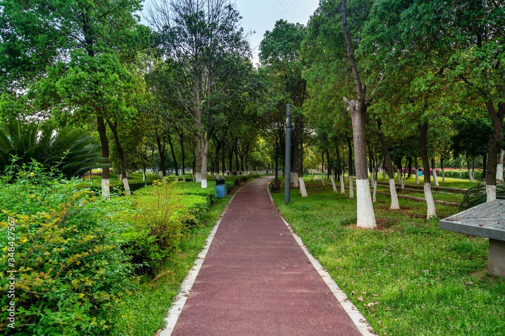 The road of City Park in China