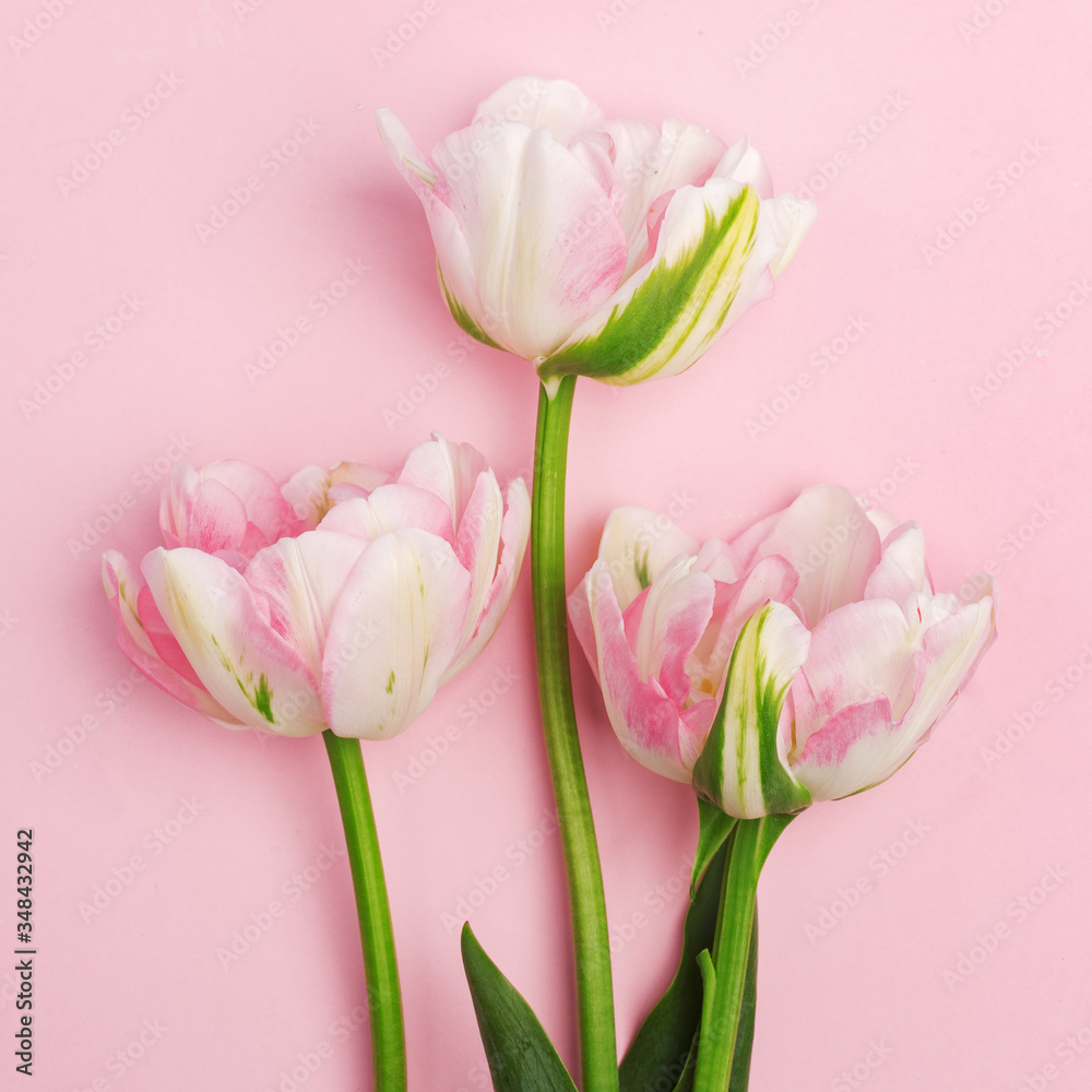 Fototapeta premium Delicate decorative flowers on a pink background.