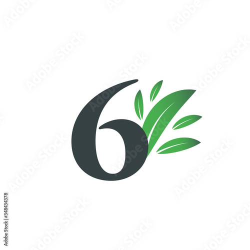 Number Six logo with green leaves. Natural number 6 logo with green leaf.