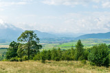 A beautiful landscape near the Zarnesti Bear Reserve, Brasov, Romania