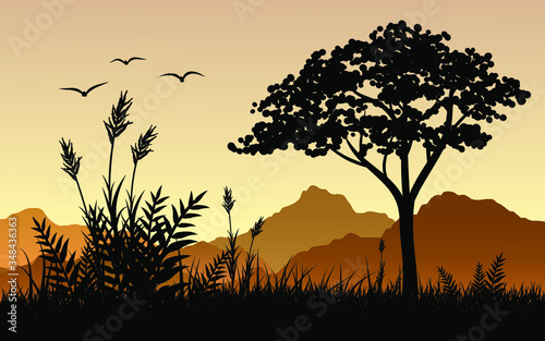beautiful sunset in the forest