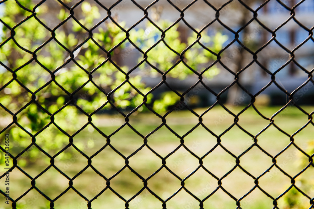 Fototapeta premium Iron mesh fence on a background of nature