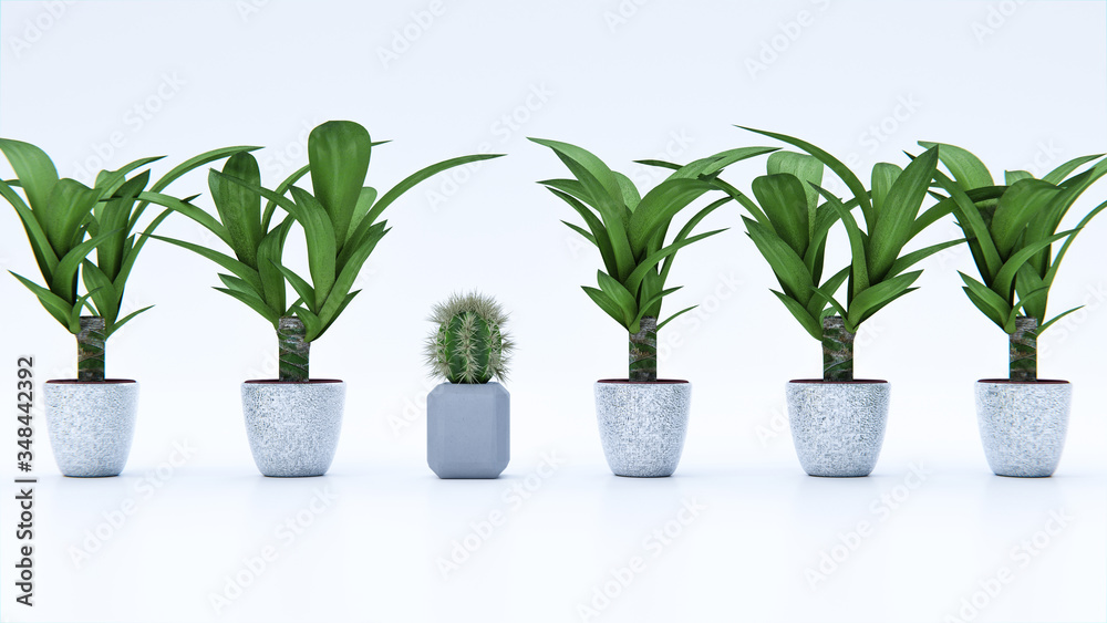 Konzept Querdenker, andere Meinung oder Selbstvertrauen: Kaktus zwischen Zimmerpflanzen