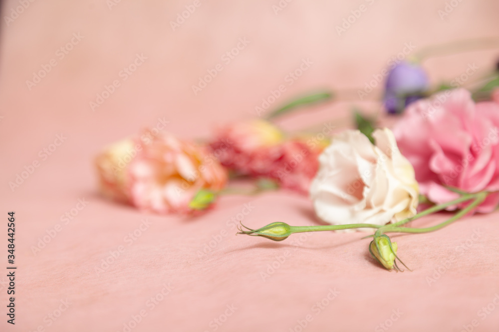 Bouquet of eustoma flowers on a delicate pink background Bouquet of eustoma flowers on a delicate pink background