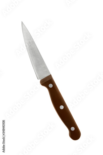 Carving knife isolated
