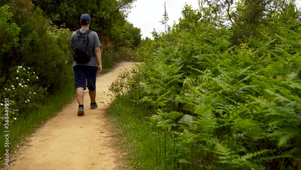 Boy with backpack hiking on narrow alley of mountain through green grass, fern and wild flowers Boy with backpack hiking on narrow alley of mountain through green grass, fern and wild flowers