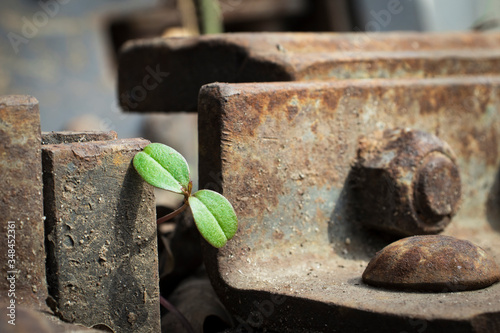 Green sprout grows in a scrap metal dump. A young sprout grows in a polluted environment. A sprouted sprout on a background of rusty piece of iron and garbage