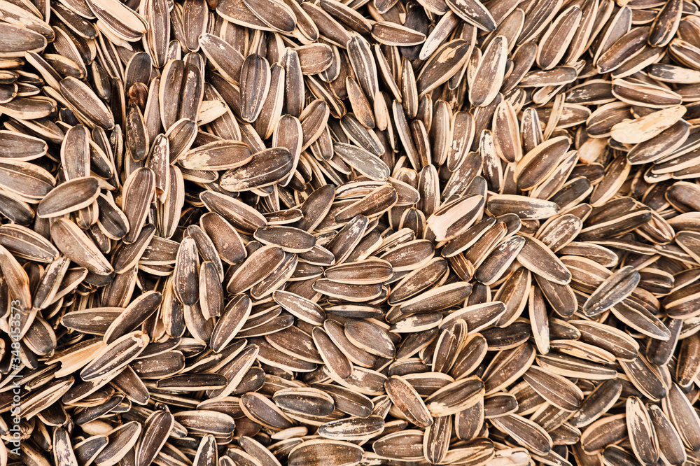 black and white sunflower seeds background or texture