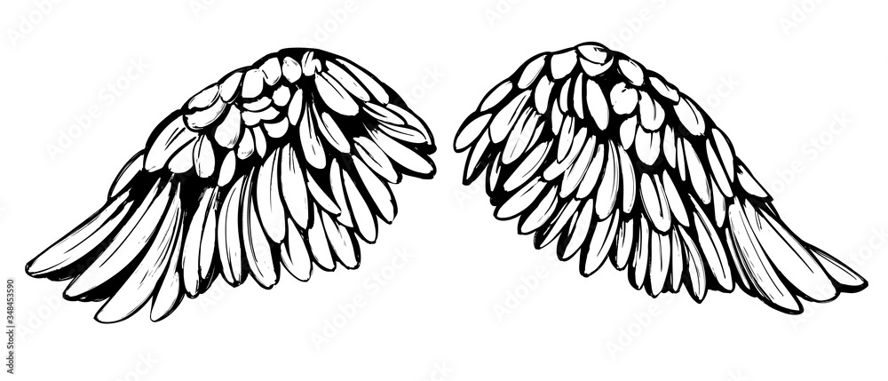 Angel wings, bird wings collection cartoon hand drawn vector illustration sketch Stock Vector | Adobe Stock Angel wings, bird wings collection cartoon hand drawn vector illustration sketch Stock Vector | Adobe Stock