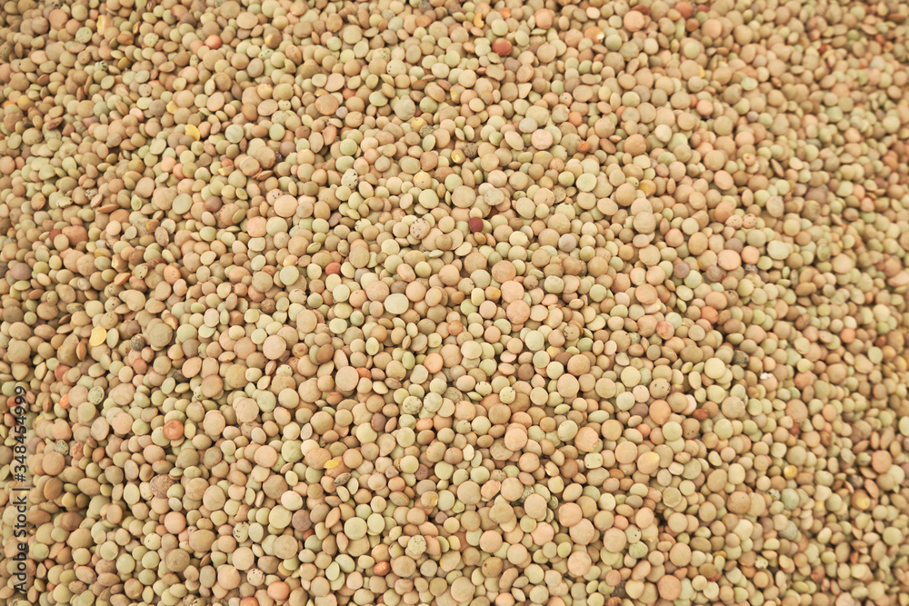raw lentil seed background or texture concept raw lentil seed background or texture concept