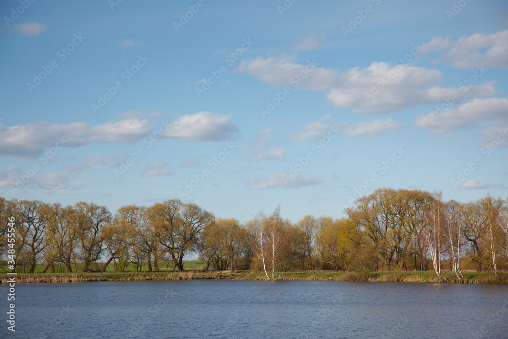 Obraz premium Spring landscape near the river
