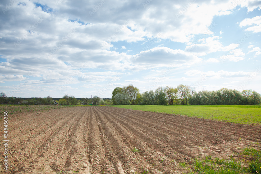 The rural landscape in the spring The rural landscape in the spring