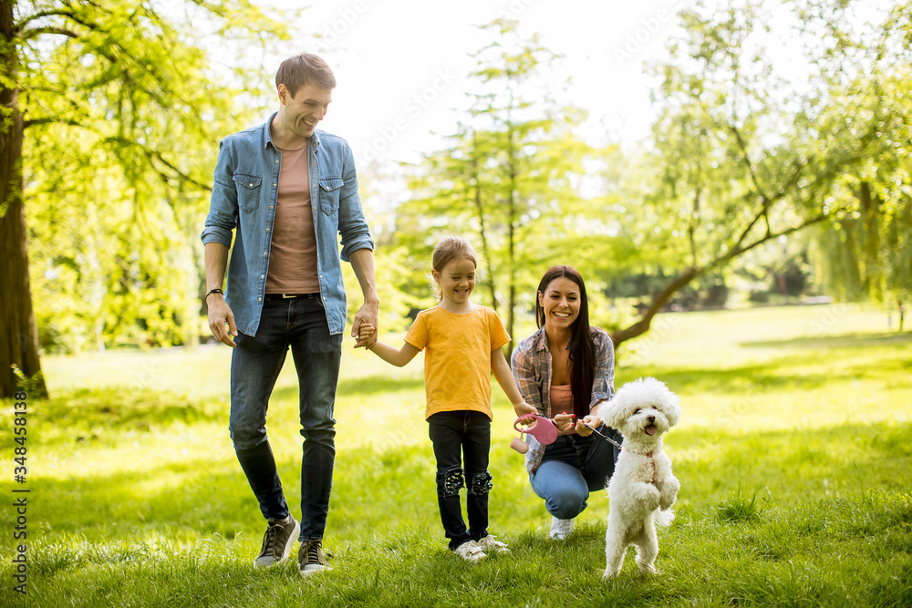 Obraz premium Beautiful happy family is having fun with maltese dog outdoors