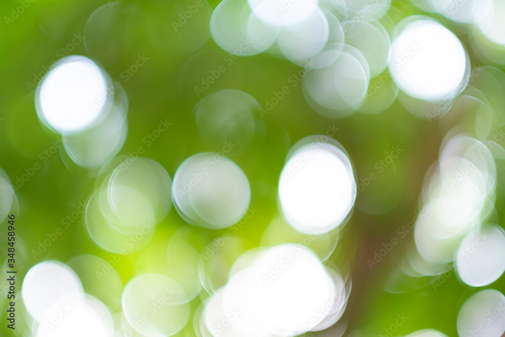 Obraz premium Green bokeh light nature from tree and sky background is a shiny naturally occurring shadow that is not clear but beautiful.