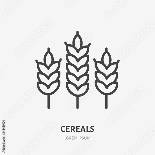 Wheat line icon, vector pictogram of cereals. Organic grain illustration, sign for bakery