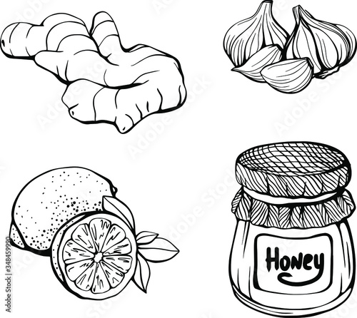 Healthy food that boosts your immune system. Set of products: lemon, honey, ginger, garlic. vector illustration in the Doodle style. hand drawn vector illustration of a set of food