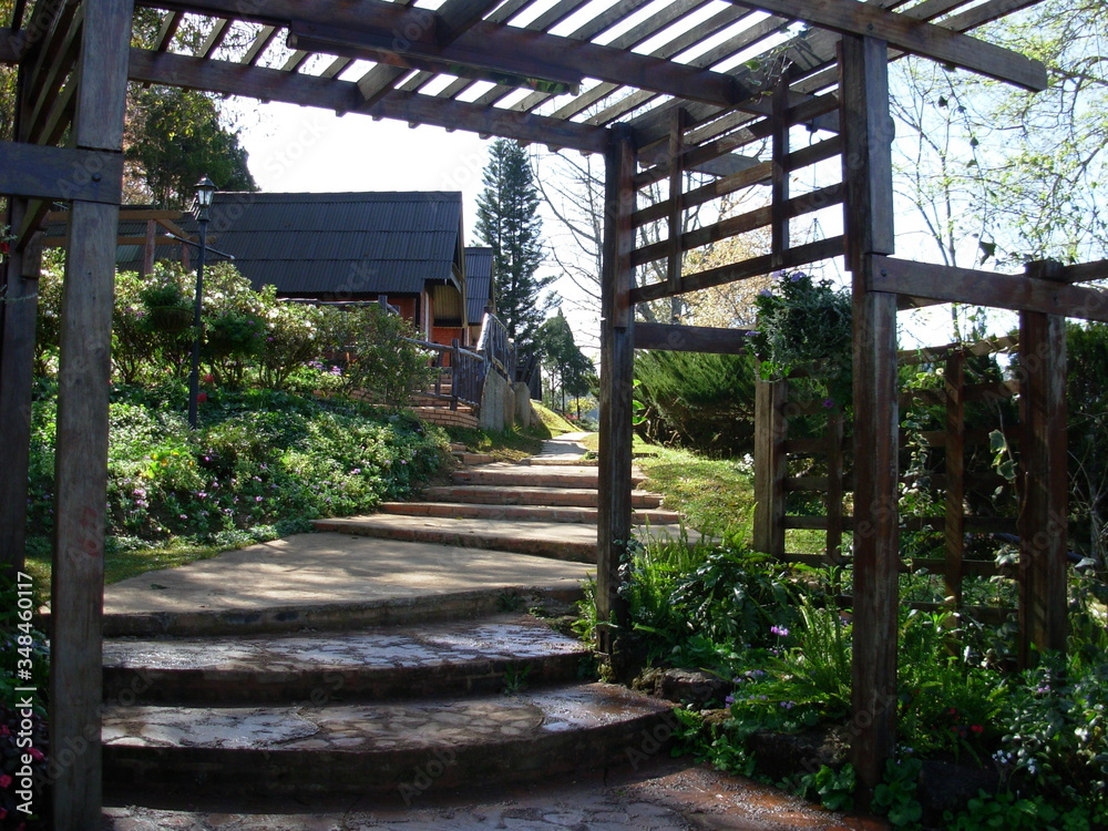 Fototapeta premium garden