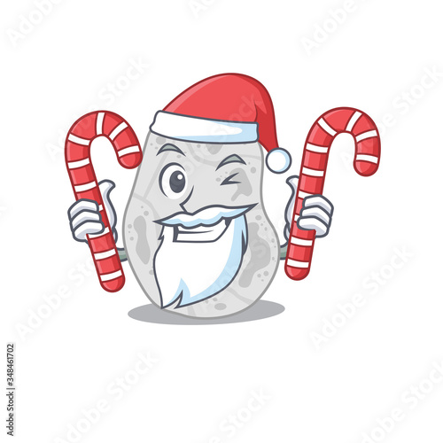 Friendly white planctomycetes dressed in Santa Cartoon character with Christmas candies
