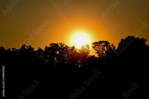 sunset in the forest